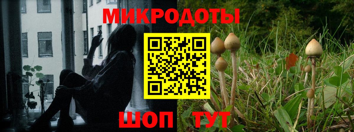 купить наркотик  Вход с VPN  Грозный  Псилоцибиновые грибы ЛСД  Псилоцибиновые грибы мицелий 