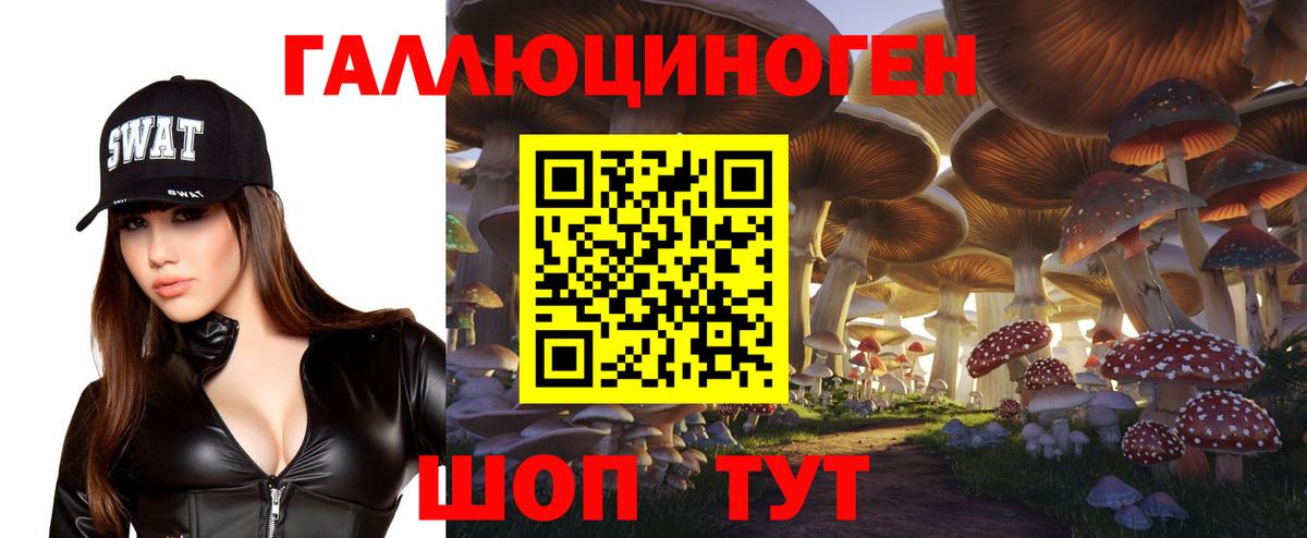Псилоцибиновые грибы прущие грибы Грозный